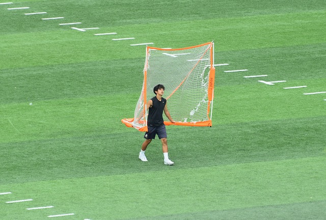 插完成